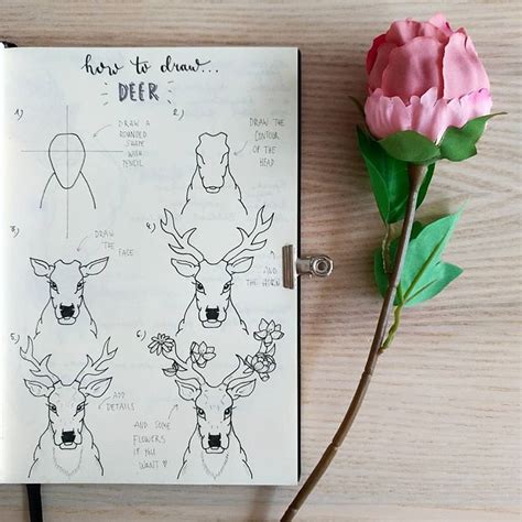 Shibadoodle в Instagram Superb Look How Detailed The Deer Is 🦌 Must