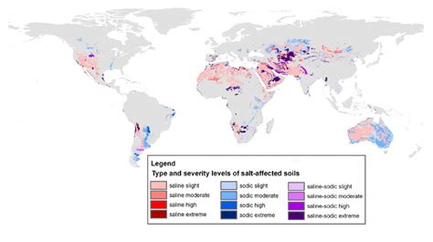 2 Saline And Sodic Soils In The World Download Scientific Diagram