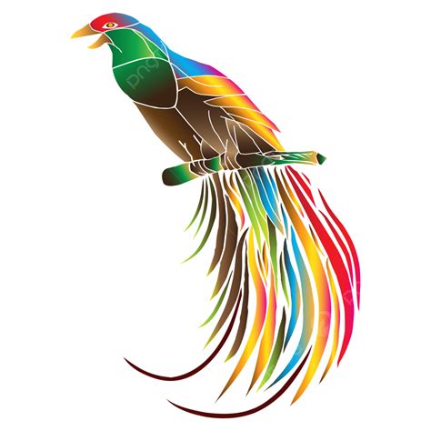 Kombinasi Warna Vektor Burung Cendrawasih Firdaus Cantik Binatang