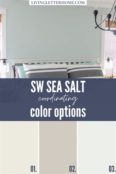 Neutral Paint Colors Sherwin Williams Sea Salt Living Letter Home
