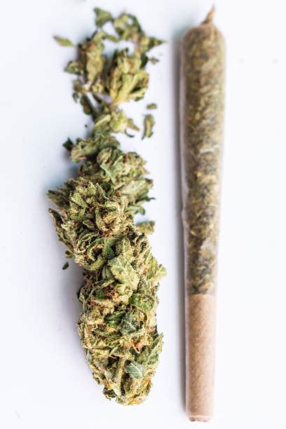 90 Cannabis Preroll Stock Photos Pictures And Royalty Free Images Istock