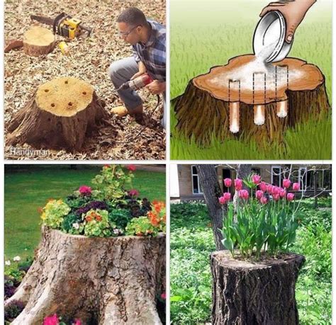 Pin By Tiffany Anders On The Outside View Tree Stump Decor Garden Yard Ideas Garden Projects