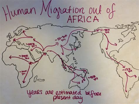 Human Migration Out Of Africa Map Topographic Map Of Usa With States