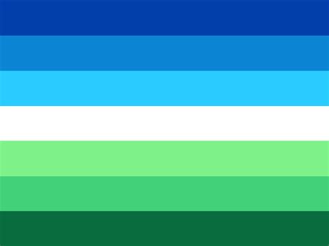 Custom Pride Flags — Your Mlm Flag Is Really Cool I Kind Of Wish It