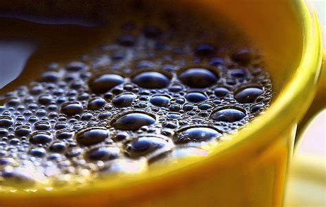 tiny bubbles in your coffee where do they come from science answers