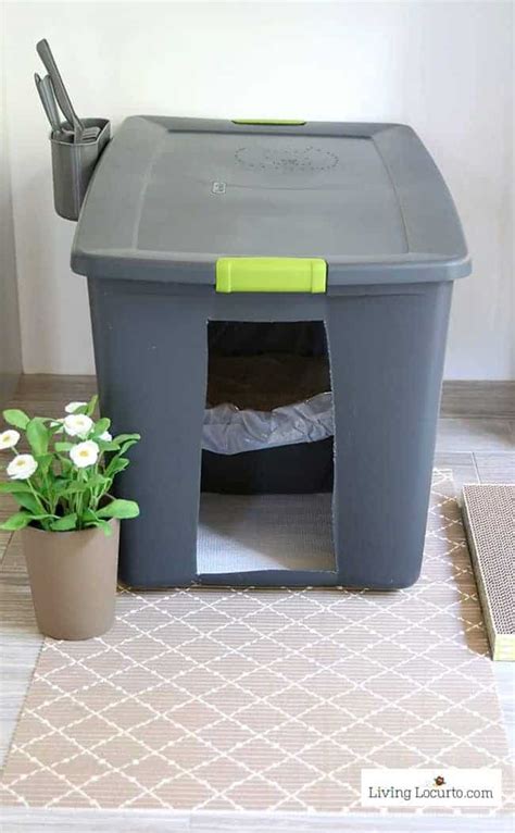 I saw an idea for a hidden litter tray. Hidden Kitty Litter Box Ideas - DIY Cat Litter Holder