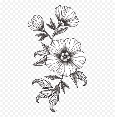 Black White Flower Black And White Flower Emojiwhite Flower Emoji