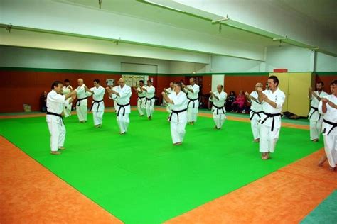 Master Oscar Higa Karate Do Karate Do Seminar In Saint Sauveur France