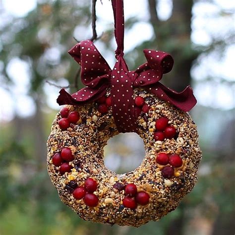 Add Some Life To Your Yard With A Diy Birdseed Wreath Bird Seed