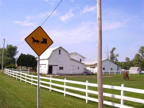 Buggy Signs Across America Amish America