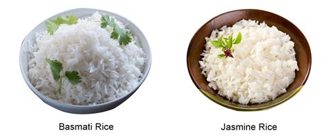 Difference Between Jasmine And Basmati Rice Gtw