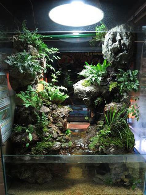 Amazing Paludarium Ideas That Must Be Crazy In Your Home Homemydesign