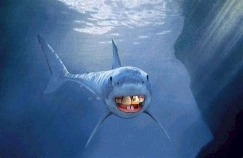 Sharks With Human Teeth 15 Photos Funcage