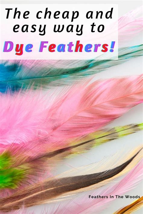 How To Dye Feathers Cheaply Feather Crafts Feather Diy Chicken Crafts