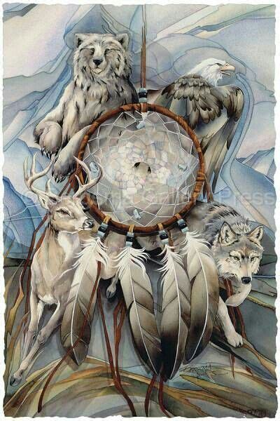 Cherokee Indian Dream Catchers Native American Dream Catcher I Have This Really Wer Native