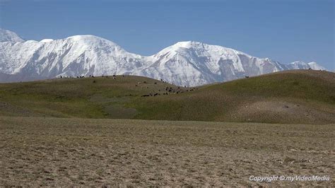 Visiting Lenin Peak Base Camp Kyrgyzstan Travel Video Blog