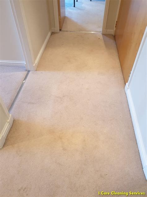 Qualified carpet cleaners 07495027182 for a free quote. Carpet Cleaning Bishopbriggs | Carpet Cleaner Bishopbriggs