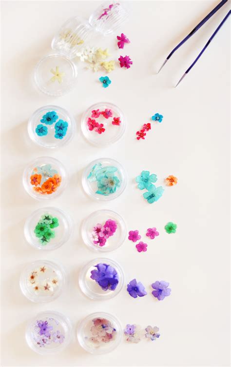 Dried flowers for nails amazon. Dried Flowers Nail Art Set for Floral Manicures | ...love ...