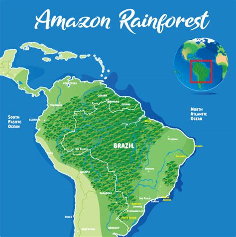 Map Of Amazon Rainforest For Kids