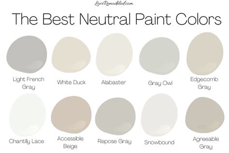 Best Neutral Paint Colors Colors To Choose From Apartment Lovers