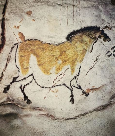 Höhle Von Lascaux Kunstwerk Aus Der Steinzeit