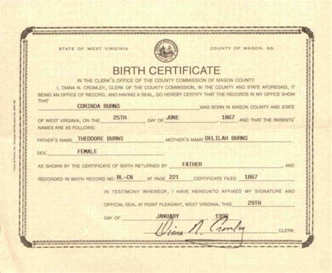 Birth Records Search Example