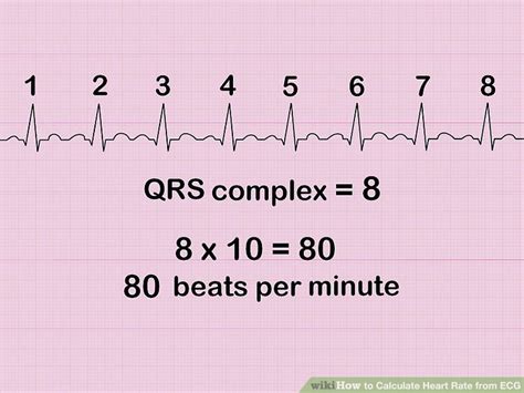 How To Calculate Heart Rate Haiper