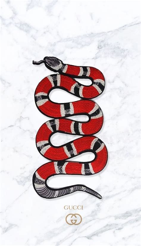 #Indescriptible #Gucci #KadvoEmporio 23/12/87 | Gucci ...