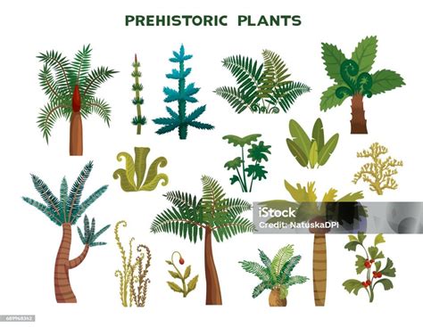 Set Of Prehistoric Plants Stock Illustration Download Image Now