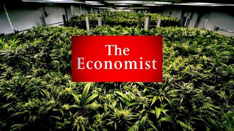 Drugs War Or Store For 20 Years The Economist Has Led Calls For A