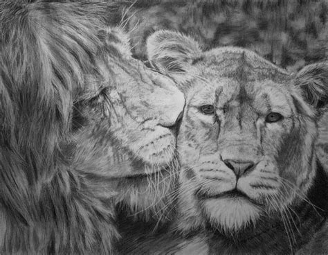 Explore quality tekeningen pictures, illustrations from top photographers. 17+ Lion Drawings, Pencil Drawings, Sketches | FreeCreatives