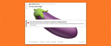 the big dick problems subreddit has a dick pic problem