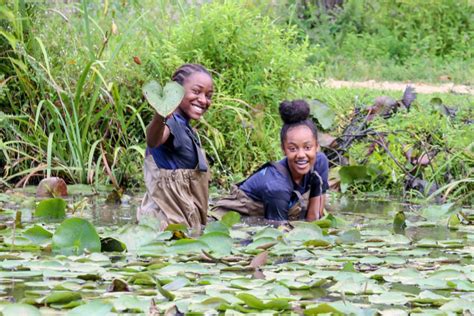 Once the private gardens of a water lily enthusiast, the aquatic gardens are now the only. Friends of Kenilworth Aquatic Gardens: Donate Today | GiveGab