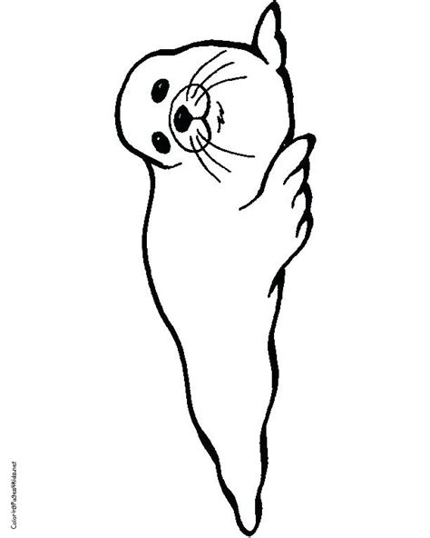 Baby Seal Drawing Free Download On Clipartmag