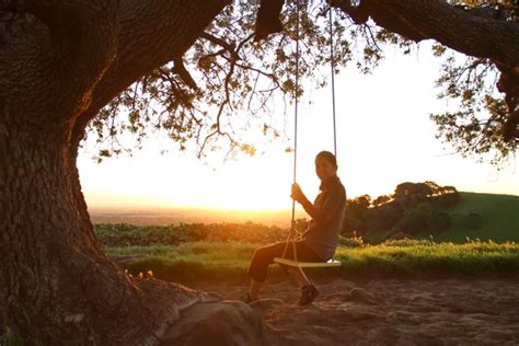 Woman On Swing Under Tree At Sunrise Photos In  Format Free And