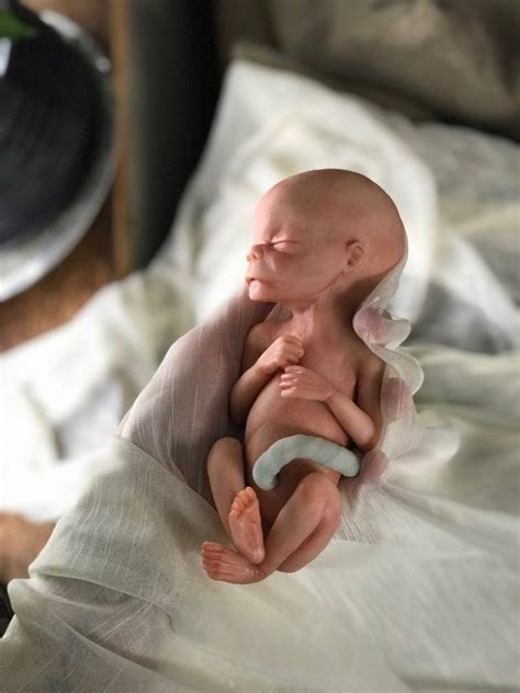 20 Week Gestation Sculpture Made To Order Babies Baby Nanes