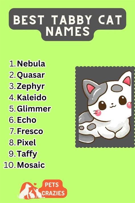 200 Best Tabby Cat Names Funny And Cute Ideas