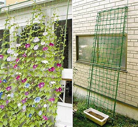 A wide variety of vegetable garden plants options are available to you, such as usage condition, material. Amgate Nylon Trellis Netting Plant Support for Climbing ...