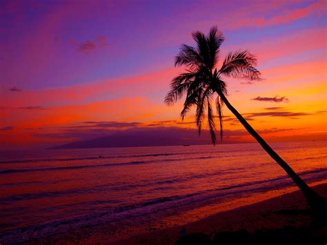 Sunset Wallpaper Beach Hawaii Sunset Beach Hawaii Ultra Hd Desktop