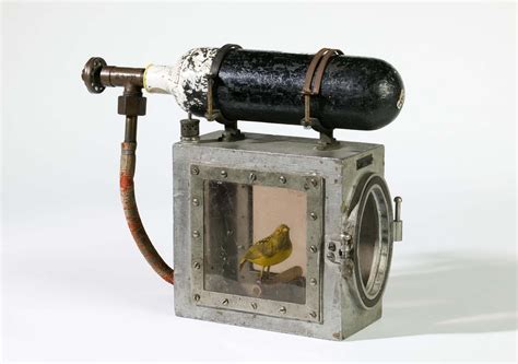 This device was used to resuscitate canaries in coal mines – Museum Crush
