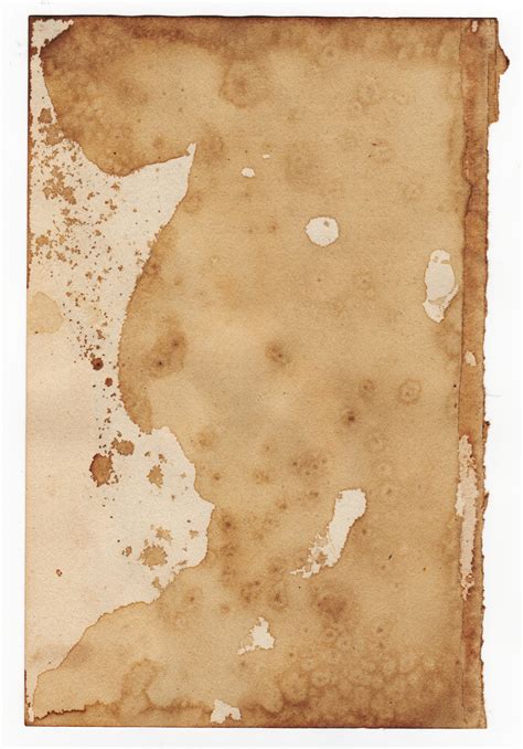 Tea Stained Paper Texture