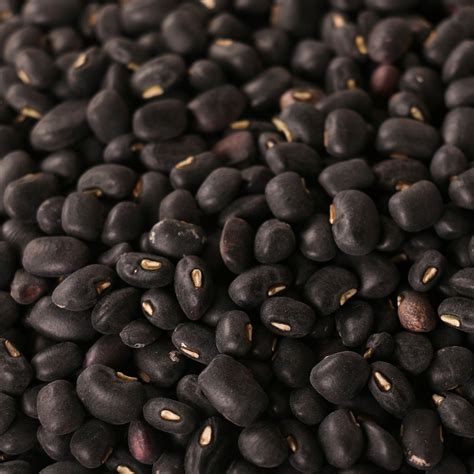 Black Beans Wari Muth Agrokashmir
