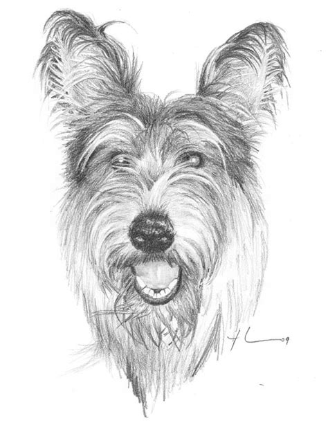 Pin By Mike Theuer On Art Sketchbook In 2021 Pencil Portrait Dog Art