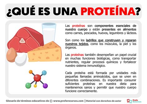 Que Es Una Prote Na Definici N De Prote Na