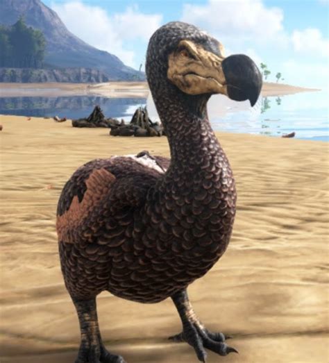 As of october 2019, the company has 457 pizzerias in russia and 69 in 11 other countries (kazakhstan, united states, united kingdom. Dodo | Wikia Los Inmortales | FANDOM powered by Wikia