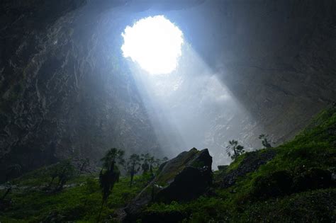 ‘lost World Forest Found Inside Giant Sinkhole In China Principia