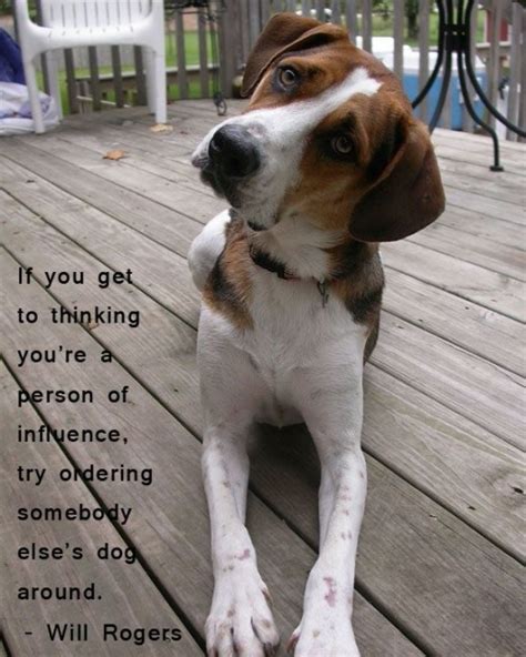 Funny Dog Owner Quotes Quotesgram