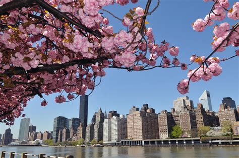 Springtime In New York City—what To Do And How To Practice Your English