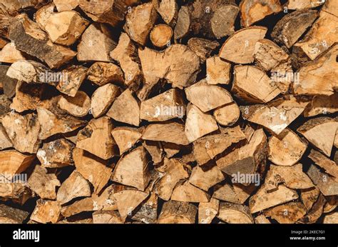 Stack Of Neatly Stacked Firewood Is Dried Under A Canopy In The Open