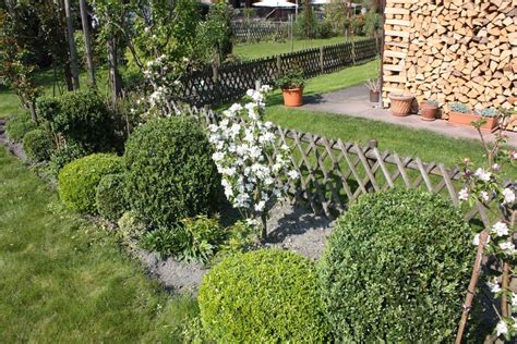 Growing apples in home garden. Columnar Apple Trees | saksıda elma (columnar ballerina ...